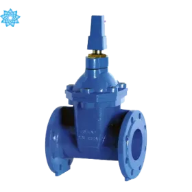 Sản phẩm Van cong gang  loai chon ngam 280x280 — Công Ty Cổ Phần Cấp Nước Sạch Việt Nam — MST 0105000198