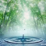 Sản phẩm Beautiful Nature Water Sceney Wallpaper 160x160h — Công Ty Cổ Phần Cấp Nước Sạch Việt Nam — MST 0105000198