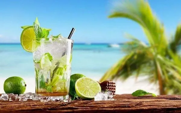 Sản phẩm mojito la gi 3 — Công Ty Cổ Phần Poliva — MST 0105015035