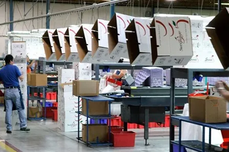 Sản phẩm Packing, Printing   Qualiserv_ 15 10 2022 10 56 55 — Công Ty TNHH Qualiserv (Việt Nam) — MST 0105020155