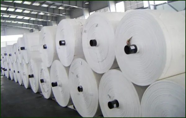 Sản phẩm Manh PP det — Chi Nhánh Công Ty TNHH TM Và DV Hoàng Liên — MST 0105040183