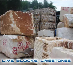 Sản phẩm Untitled 7 — Công Ty Cổ Phần Xuất Nhập Khẩu Và Đầu Tư Thương Mại Viết Nam — MST 0105113018