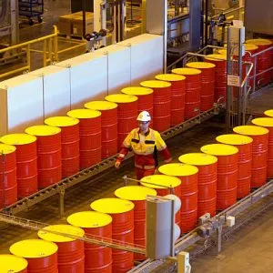 Sản phẩm Shell drum 300x300 — Công Ty CP TM Teka Hà Nội — MST 0105174959