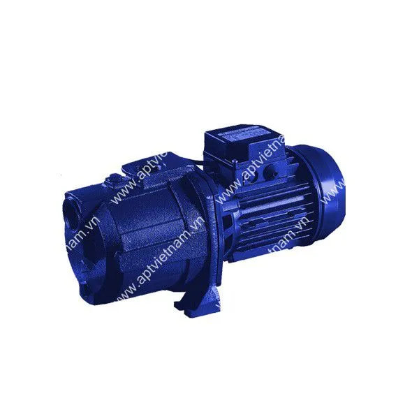 Sản phẩm bom ebara model age — Công Ty TNHH Công Nghệ An Phú Thịnh — MST 0105179788
