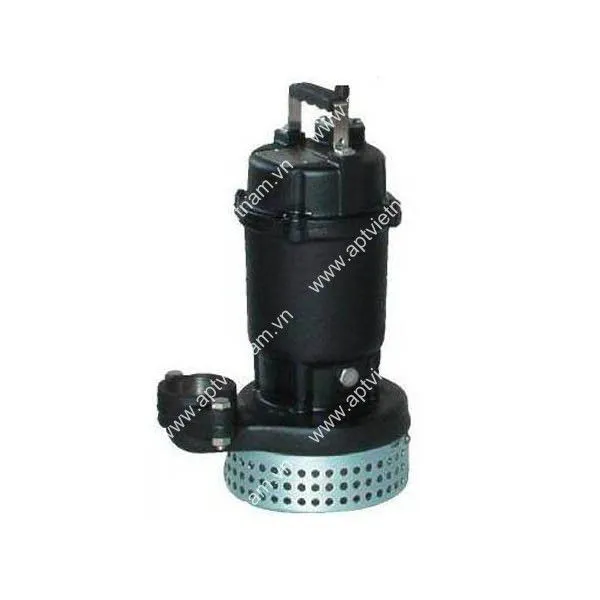 Sản phẩm bom ebara model ds — Công Ty TNHH Công Nghệ An Phú Thịnh — MST 0105179788