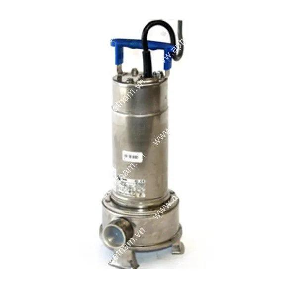 Sản phẩm bom ebara model right — Công Ty TNHH Công Nghệ An Phú Thịnh — MST 0105179788