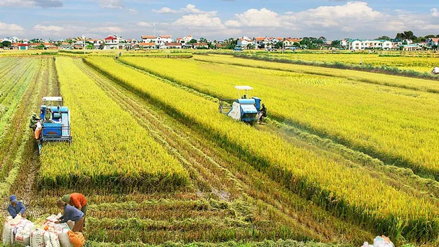 Sản phẩm photo 1 1567302697604854213136 — Công Ty TNHH Kỹ Thuật Công Nghệ Huy Minh — MST 0105196920