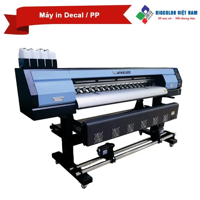 Sản phẩm May in decal pp — Công Ty TNHH Một Thành Viên BigColor Việt Nam — MST 0105272642