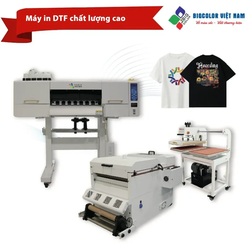 Sản phẩm May in DTF chat luong cao — Công Ty TNHH Một Thành Viên BigColor Việt Nam — MST 0105272642