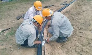 Sản phẩm IMAG0287 300x179 — Công Ty Cổ Phần Công Nghệ Tưới Tô Gia — MST 0105281608