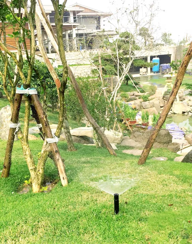 Sản phẩm IMG_469111 — Công Ty Cổ Phần Công Nghệ Tưới Tô Gia — MST 0105281608