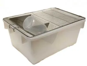 Sản phẩm long chuot 300x227 — Công Ty TNHH Thương Mại Tín Thành Phát — MST 0105287381
