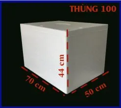 Sản phẩm Thùng xốp 100 247x221 — Công Ty Cổ Phần FCO Việt Nam — MST 0105299242