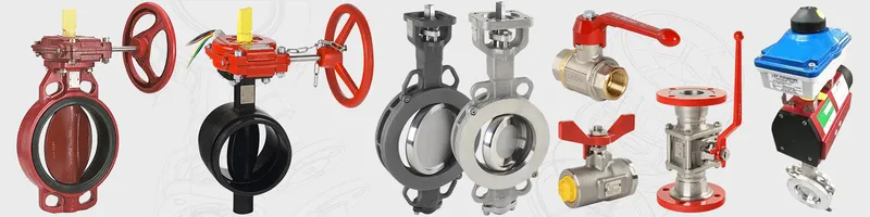 Sản phẩm van va phu kien van sapag valve phap 1 — Công Ty TNHH VINAVAN — MST 0105306210