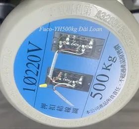 Sản phẩm motor YH 500kg nhap khau Taiwan chinh hang fucodoor 178 — Công Ty Cổ Phần Fuco Hà Nội — MST 0105334313