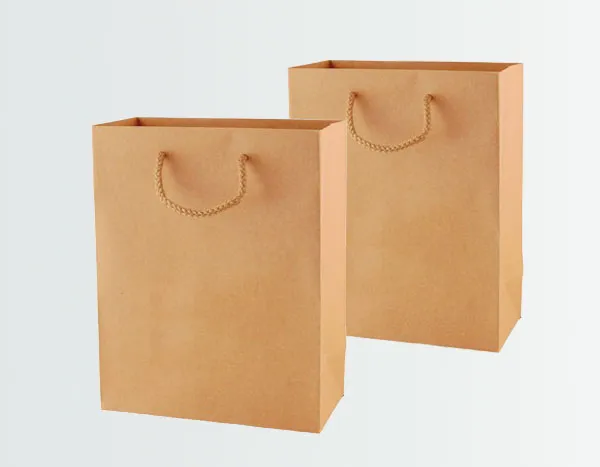 Sản phẩm in tui giay kraft 01 — In ấn SHD Hà Nội - Công Ty TNHH Đầu Tư SHD Hà Nội — MST 0105370093
