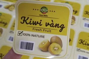Sản phẩm in tem nhan kiwi theo yeu cau 300x200 — In ấn SHD Hà Nội - Công Ty TNHH Đầu Tư SHD Hà Nội — MST 0105370093