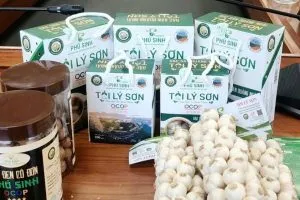 Sản phẩm in hop giay dung toi ly son gia re 300x200 — In ấn SHD Hà Nội - Công Ty TNHH Đầu Tư SHD Hà Nội — MST 0105370093