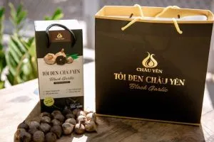 Sản phẩm in tui giay dung toi den gia re 300x200 — In ấn SHD Hà Nội - Công Ty TNHH Đầu Tư SHD Hà Nội — MST 0105370093
