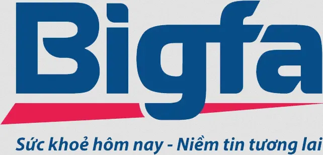 Sản phẩm bigfa — Công Ty Cổ Phần Chế Tạo Máy Thành ý — MST 0105370329