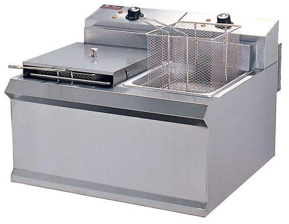 Sản phẩm Bep chien nhung doi Dien EF 904 — Công Ty TNHH Nội Thất Và Bếp Ngôi Sao Mới — MST 0105390910