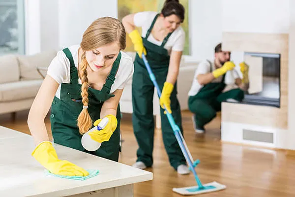 Sản phẩm luu y khi chon dich vu ve sinh nha cua don tet 3 — Sàn Gỗ Wilson - Công Ty CP Wilson Việt Nam — MST 0105431356