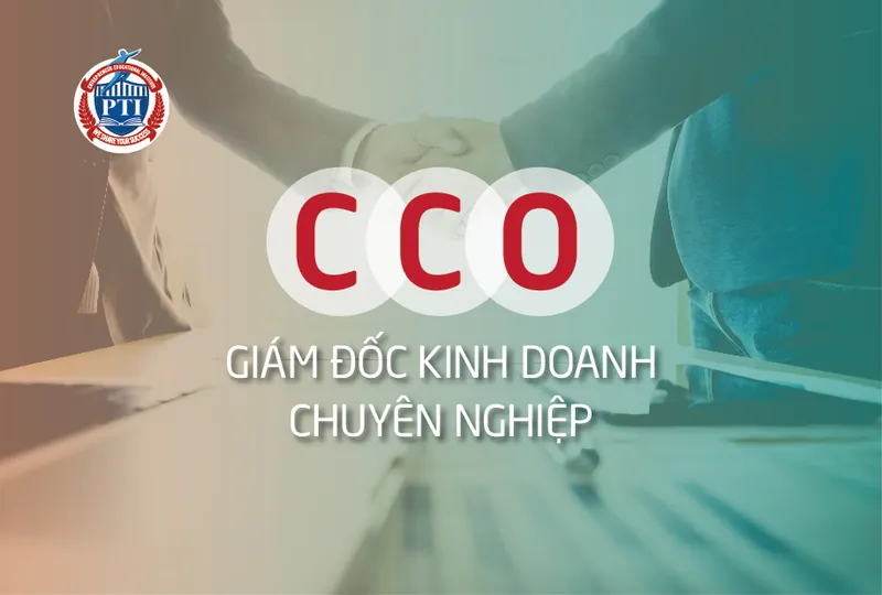 Sản phẩm cco giam doc kinh doanh — Tổ Chức Giáo Dục và Đào Tạo Doanh Nhân PTI - Công Ty TNHH Trường Doanh Nhân PTI — MST 0105434050