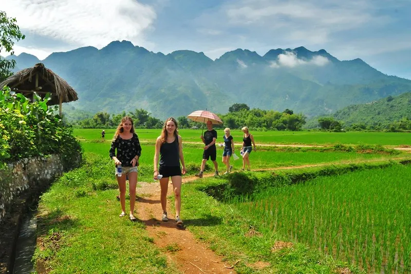 Sản phẩm 0 thue xe di mai chau hoa binh — Công Ty TNHH TM Và Du Lịch Linh An — MST 0105451465