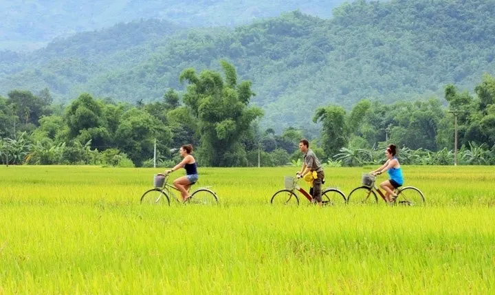 Sản phẩm ban lac mai chau — Công Ty TNHH TM Và Du Lịch Linh An — MST 0105451465