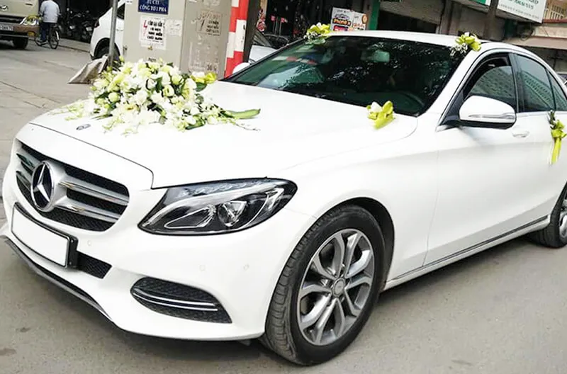 Sản phẩm Mec c250 — Công Ty TNHH TM Và Du Lịch Linh An — MST 0105451465