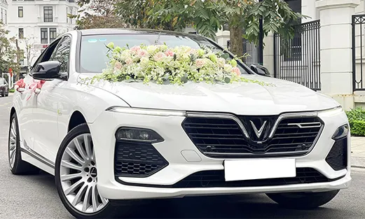 Sản phẩm lux A 1 — Công Ty TNHH TM Và Du Lịch Linh An — MST 0105451465
