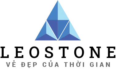 Logo Công Ty TNHH MAASTRICHT Việt Nam