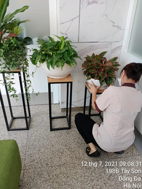 Sản phẩm 4036215360236_363013961839710_2938054536368628348_n — Công Ty Cổ Phần Không Gian Sạch Hà Nội — MST 0105470193