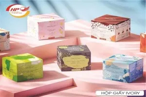 Sản phẩm 132935957039638636_hop giay ivory ha phat 7_300x200 — Công Ty TNHH Đầu Tư Sản Xuất Và Thương Mại Hà Phát — MST 0105470997
