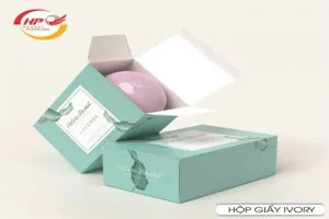 Sản phẩm 132935957659790342_hop giay ivory ha phat 10_300x200 — Công Ty TNHH Đầu Tư Sản Xuất Và Thương Mại Hà Phát — MST 0105470997