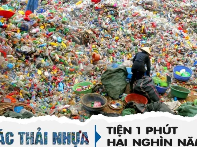 Sản phẩm Dinh 1 640x480 — Công Ty TNHH Kẻ Gỗ — MST 0105492983