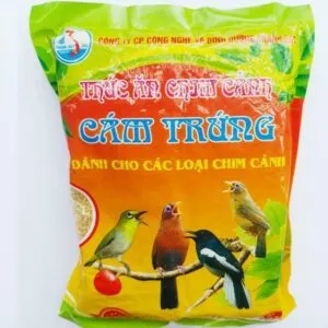 Sản phẩm Cam chim Thanh Dat 300x300 — Công Ty TNHH Đầu Tư Và Thương Mại Hoài Anh — MST 0105557214