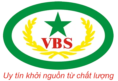 Logo Công Ty CP Ngôi Sao Xanh Việt Nam
