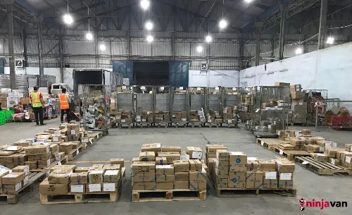 Sản phẩm Nha Xuong Ninja Van_694 — Công Ty CP Ngôi Sao Xanh Việt Nam — MST 0105634123