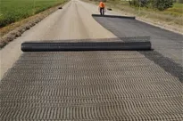Sản phẩm geogrid2(1) — Công Ty TNHH Vnbuilding Thăng Long — MST 0105687703