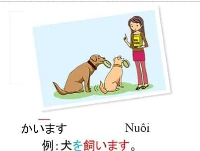 Sản phẩm tu vung tieng nhat minna no nihongo bai 27 1 — Công Ty Cổ Phần Thương Mại Tam Quy — MST 0105758048