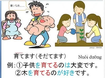 Sản phẩm tu vung tieng nhat minna no nihongo bai 38 1 — Công Ty Cổ Phần Thương Mại Tam Quy — MST 0105758048