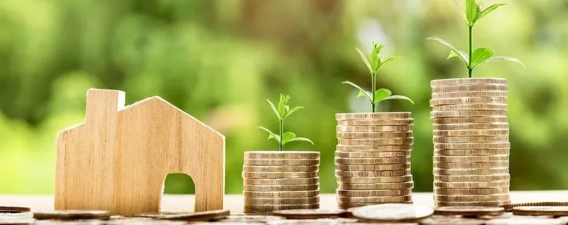 Sản phẩm Value for money 1 d3105518 — Công Ty TNHH Dịch Vụ Thương Mại Và Xuất Nhập Khẩu Phương Linh — MST 0105758785