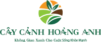 Logo Công Ty Cổ Phần Dịch Vụ Kỹ Thuật Hoa Cây Cảnh Hoàng Anh