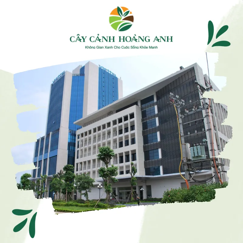Sản phẩm toa nha cong nghe cao viettel — Công Ty Cổ Phần Dịch Vụ Kỹ Thuật Hoa Cây Cảnh Hoàng Anh — MST 0105762012