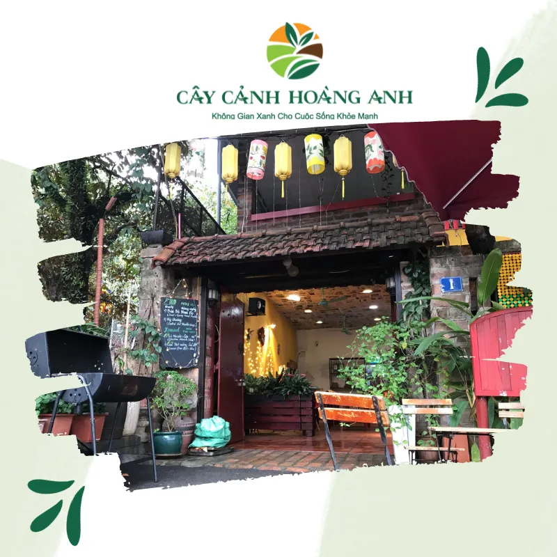 Sản phẩm Cong trinh Xoai Du Bistro — Công Ty Cổ Phần Dịch Vụ Kỹ Thuật Hoa Cây Cảnh Hoàng Anh — MST 0105762012