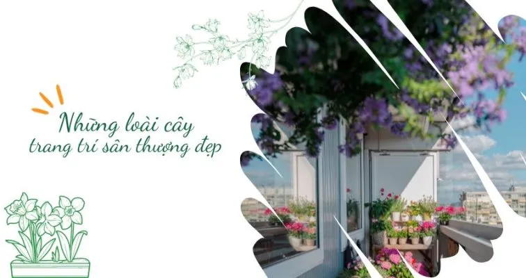 Sản phẩm Sân thượng dẹp thích hợp trồng cây gì 756x400 — Công Ty Cổ Phần Dịch Vụ Kỹ Thuật Hoa Cây Cảnh Hoàng Anh — MST 0105762012