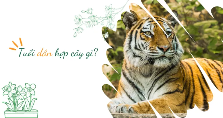 Sản phẩm Tuoi dan hop cay gi 756x400 — Công Ty Cổ Phần Dịch Vụ Kỹ Thuật Hoa Cây Cảnh Hoàng Anh — MST 0105762012