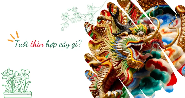 Sản phẩm Tuổi Thìn hợp cây gì Tìm hiểu các loại cây phù hợp với người tuổi Thìn 756x400 — Công Ty Cổ Phần Dịch Vụ Kỹ Thuật Hoa Cây Cảnh Hoàng Anh — MST 0105762012