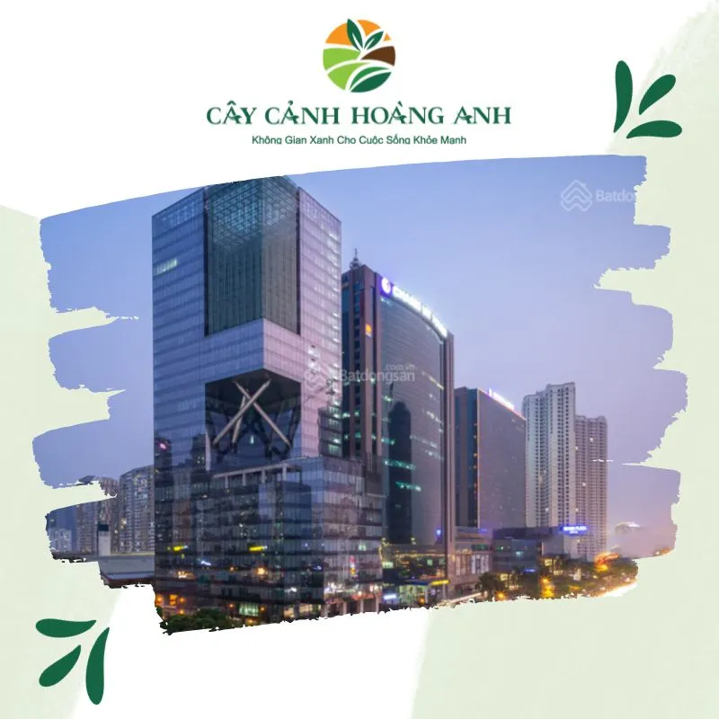 Sản phẩm 115 Tran duy hung — Công Ty Cổ Phần Dịch Vụ Kỹ Thuật Hoa Cây Cảnh Hoàng Anh — MST 0105762012